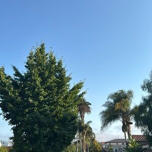 Meet your Posher, Vicky